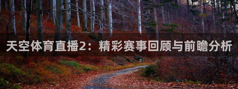 直播吧直播吧：天空体育直播2：精彩赛事回顾与前瞻分析
