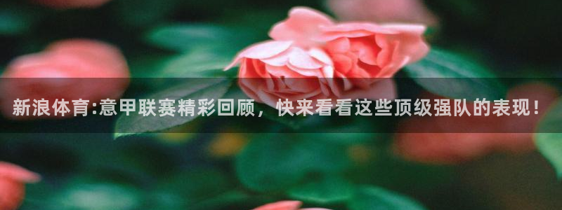 直播吧篮球在线直播免费观看：新浪体育:意甲联赛精彩回顾，快来看看这些顶级强队的表现！