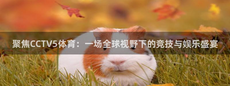低调直播吧jrs