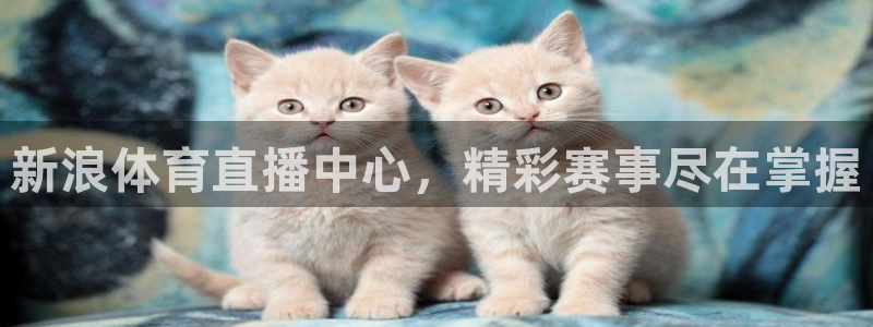 直播吧足球录像：新浪体育直播中心，精彩赛事尽在掌握