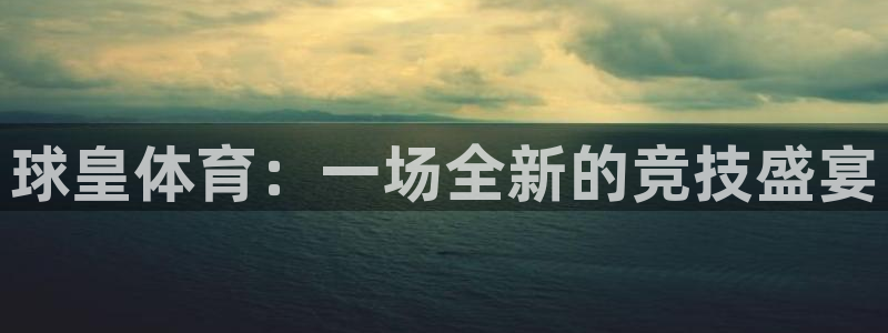 cc体育直播吧