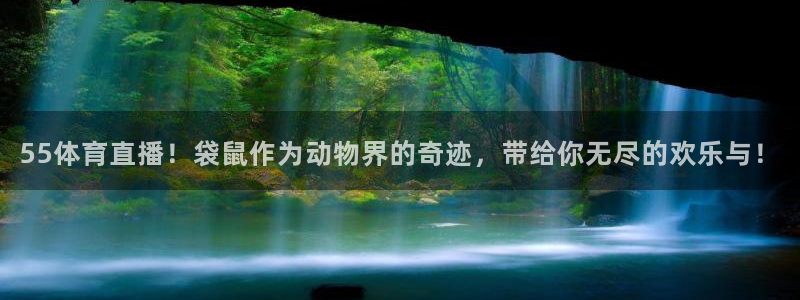 jrs直播吧jrs低调看直播回放：55体育直播！袋鼠作为动物界的奇迹，带给你无尽的欢乐与！