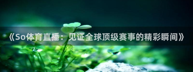 jrs乐球直播吧：《So体育直播：见证全球顶级赛事的精彩瞬间》