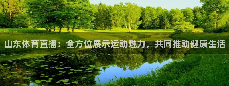 51直播吧nba：山东体育直播：全方位展示运动魅力，共同推动健康生活