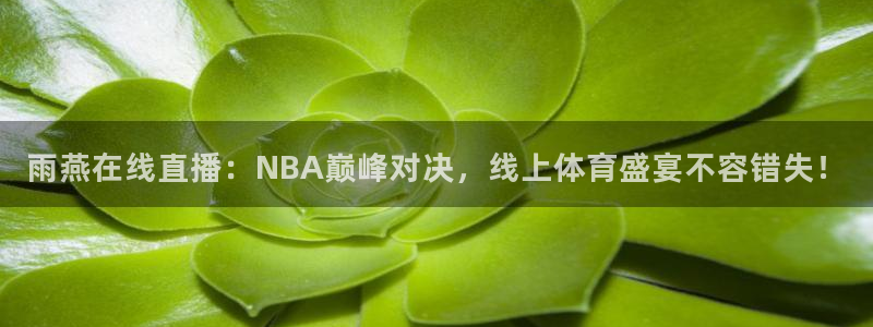 极速体育直播nba直播吧极速体育：雨燕在线直播：NBA巅峰对决，线上体育盛宴不容错失！